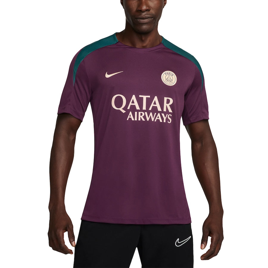 Men's Nike Burgundy Paris Saint-Germain 2024/25 Strike Performance Jersey