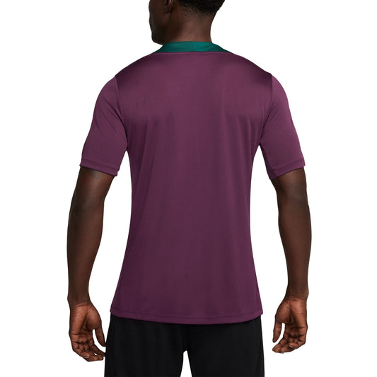 Men's Nike Burgundy Paris Saint-Germain 2024/25 Strike Performance Jersey